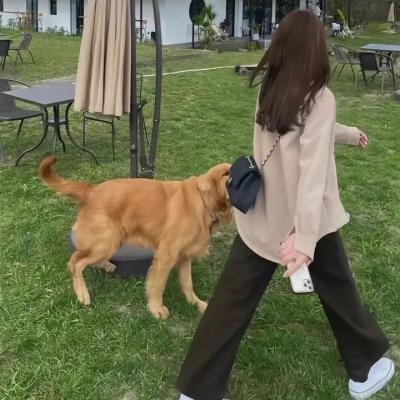 瘦子