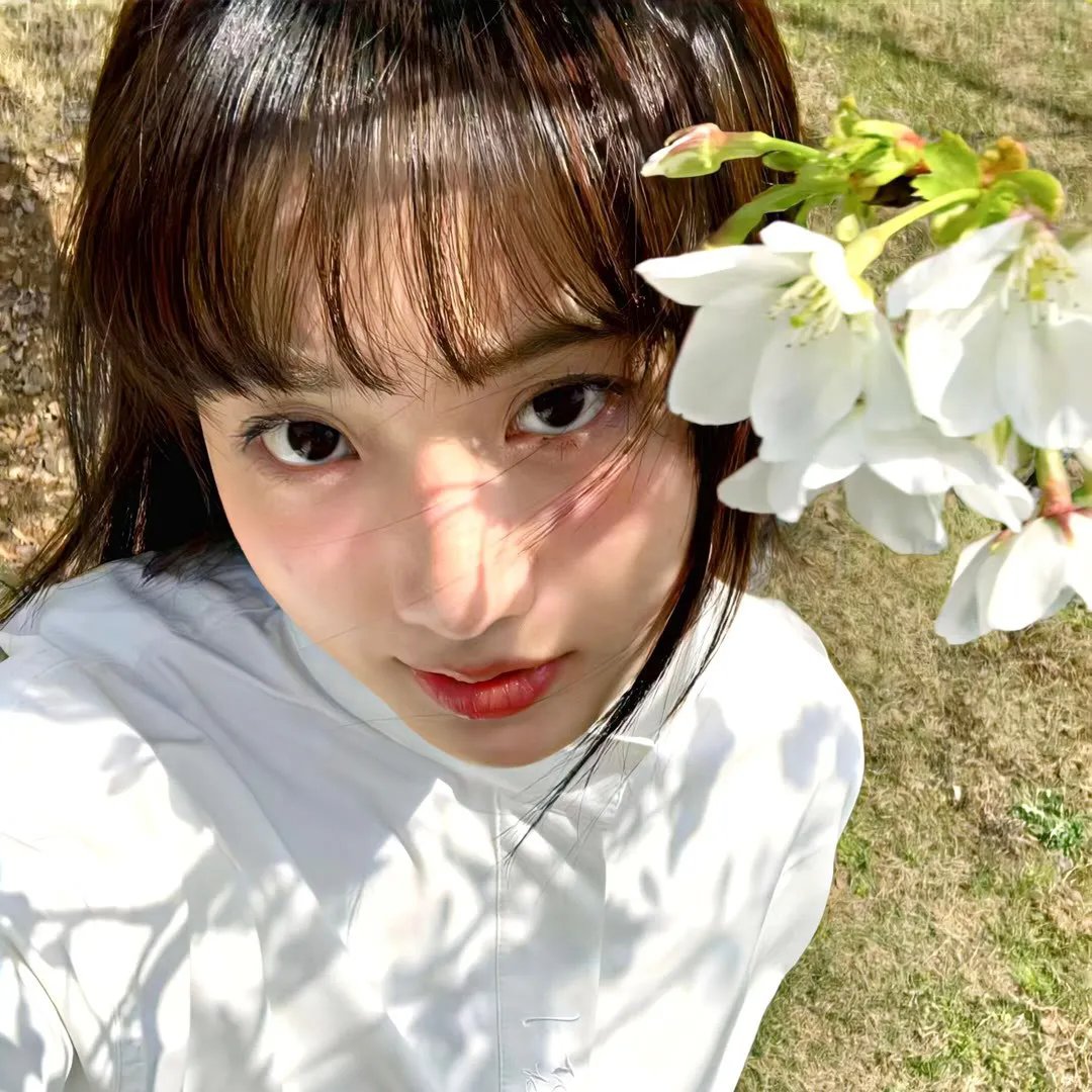 左轮手枪莉莉